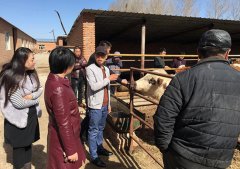 乌兰浩特市义勒力特镇党委探索“1357”建设路子打好乡土人才培养“组合拳”