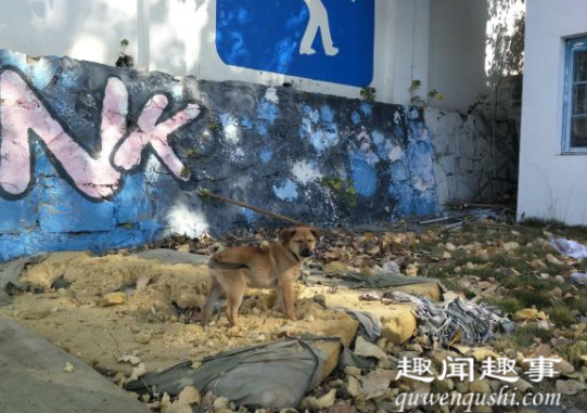 合肥学校发现婴尸 恐怖至极真相实在太吓人了