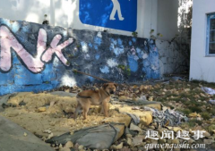 合肥学校发现婴尸 恐怖至极真相实在太吓人了
