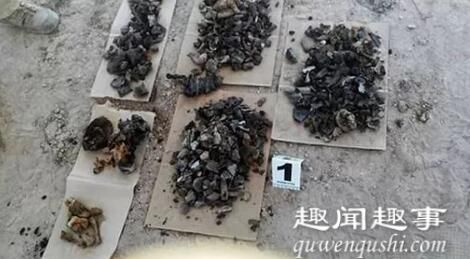 墨西哥现尸体残骸 背后真相是这样令人震惊