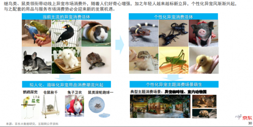如果你准备进入宠物行业 一定要读京东超市这份干货满满的报告