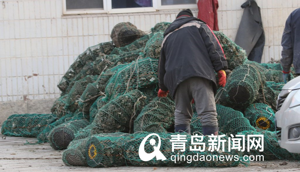 冬日美味海鲜来了 肥美海蛎子上市 批发价每斤