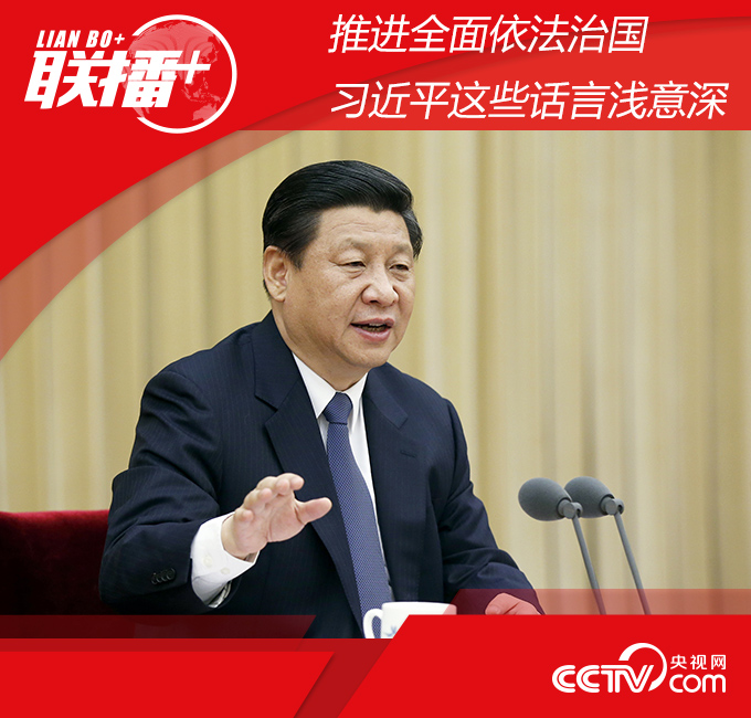  推进全面依法治国 习近平这些话言浅意深