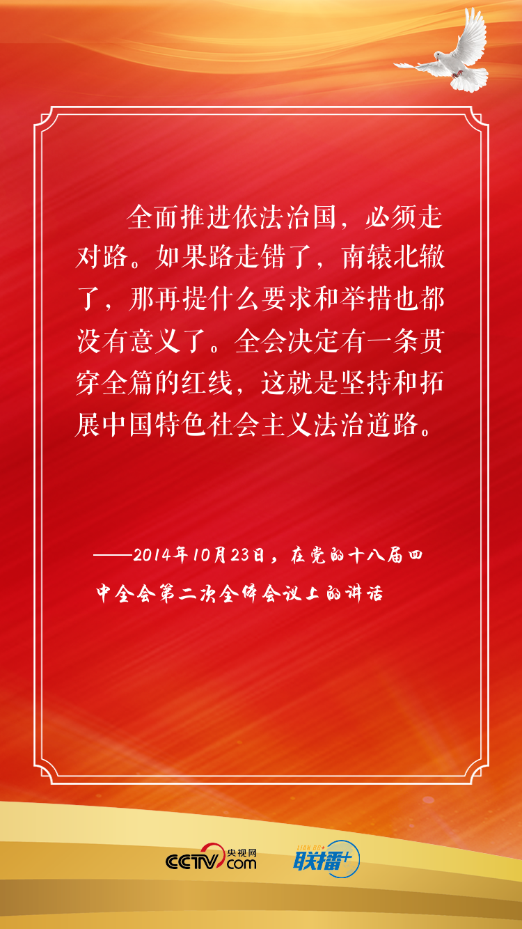  推进全面依法治国 习近平这些话言浅意深