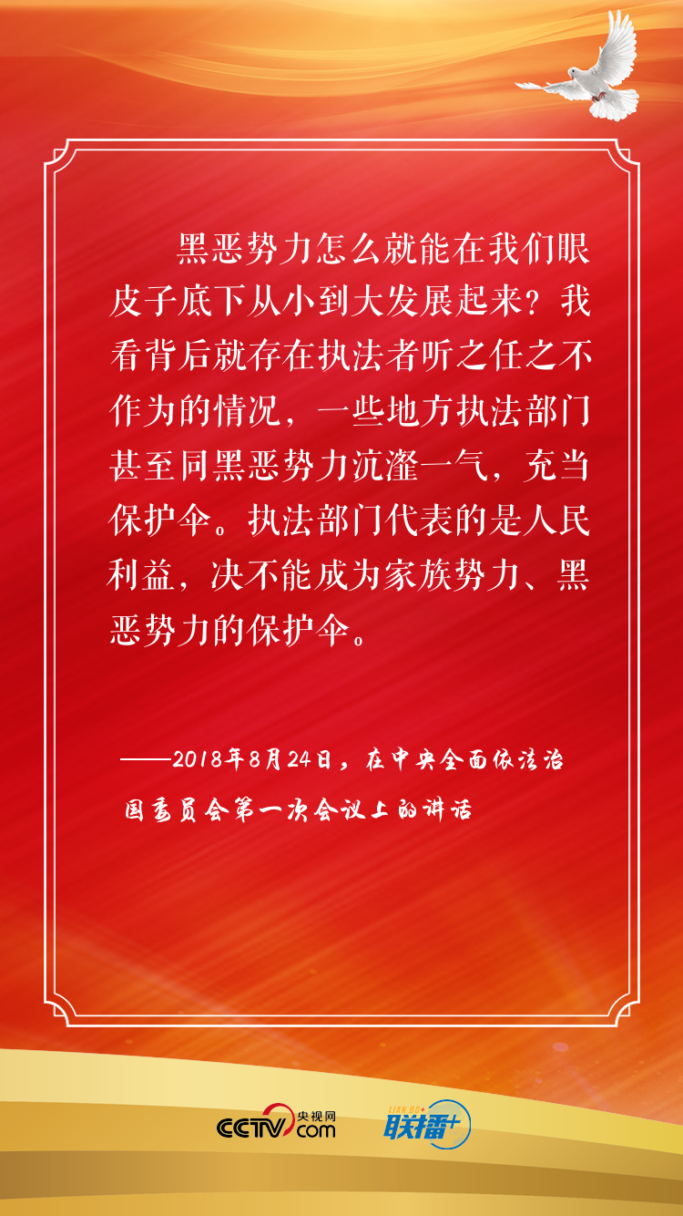  推进全面依法治国 习近平这些话言浅意深