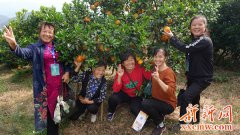 <b>双峰县举办首期红心脐橙产业领军人才培训班</b>