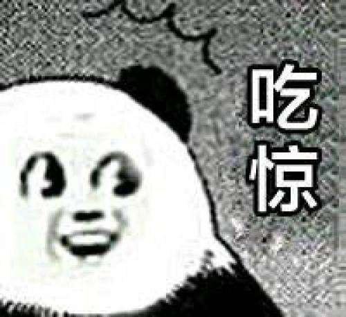 timg (47).jpeg