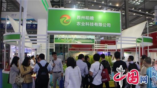 苏州稻蟾农科公司“复合种养模式”引领生态农业