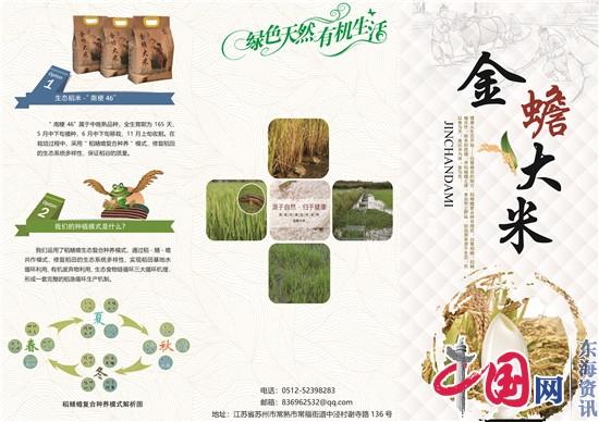 苏州稻蟾农科公司“复合种养模式”引领生态农业