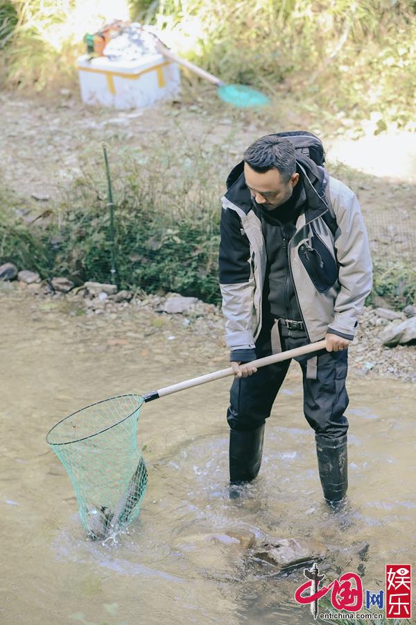 青山绿水中藏匿何种野食?野生家族获