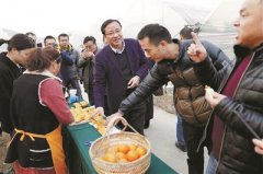 杭州市成立首个科技特派员工作站