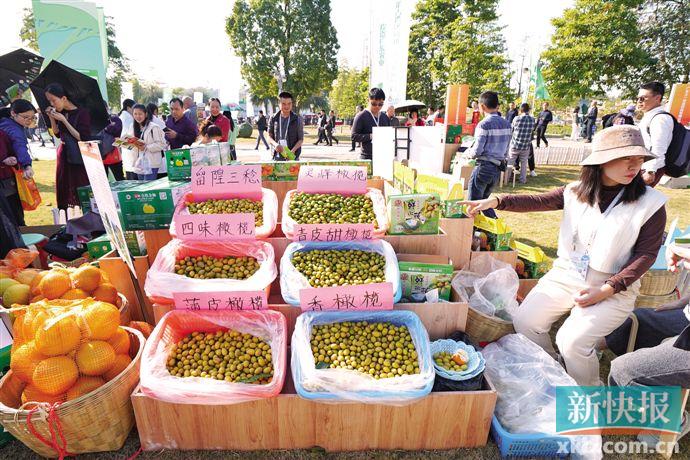 现代农业不“靠天吃饭”靠科技增收