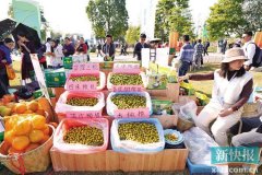 现代农业不“靠天吃饭”靠科技增收