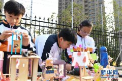 合肥：校园科技节 感受科技魅力