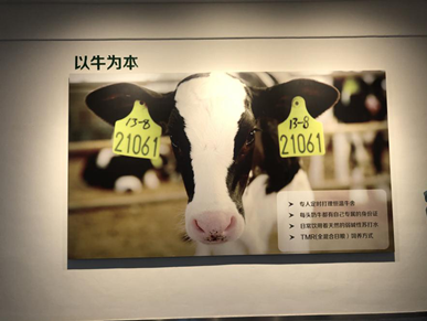 中国乳制品工业协会携专家学者走进飞鹤展开调