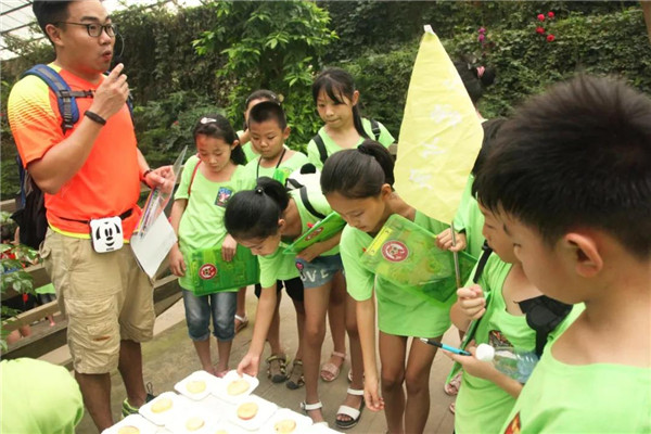 临沂旅游行业协会研学旅行分会成立 龙冈旅游集团副总裁孔杰当选会长