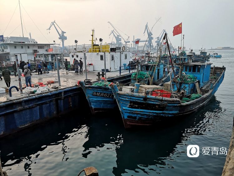 实拍冬日小港码头美味海鲜一筐筐往岸上搬