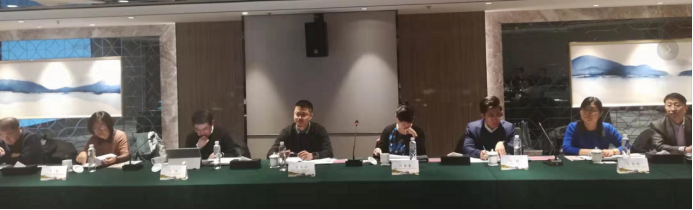 天恒集团阆中旅游文化项目，在京举行专家研讨会