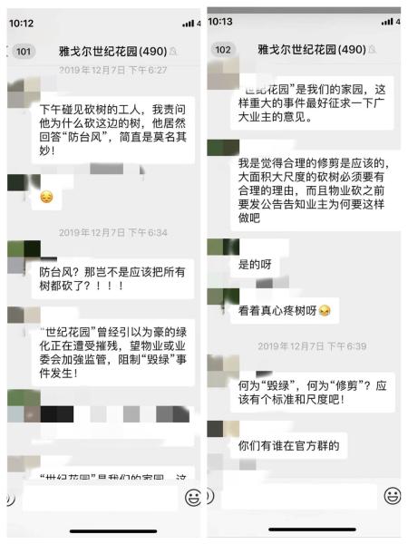 小区乔木被剪＂秃头＂ 雅戈尔世纪花园业主心疼不