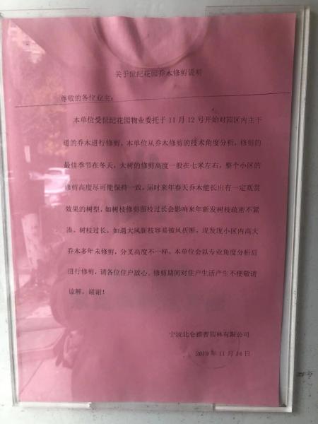 小区乔木被剪＂秃头＂ 雅戈尔世纪花园业主心疼不