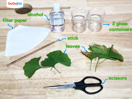 1576474924648248.png img_pic_1576474764_1.png