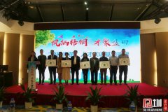 盐田区第二批“梧桐青苗”人才实训基地正式成