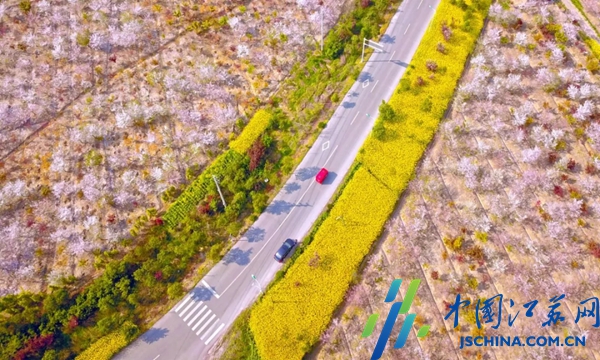 省“四好农村路”高质量攻坚推进会召开 泰州交