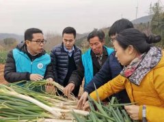 河南济源：科技“愚公”靶向发力解民忧
