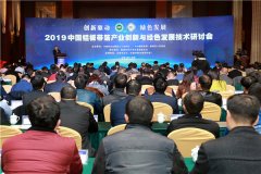 2019中国铝板带箔产业创新与绿色发展技术研讨会在濉溪举行