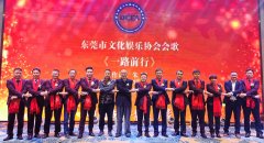 东莞市文化娱乐行业协会2019年年会举行