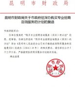 昆明市人民政府驻深圳办事处购买专业招商咨询