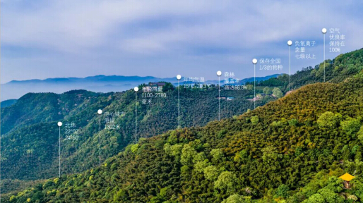 德商文商旅首秀，万亩那柯里秘境开启普洱新奇遇