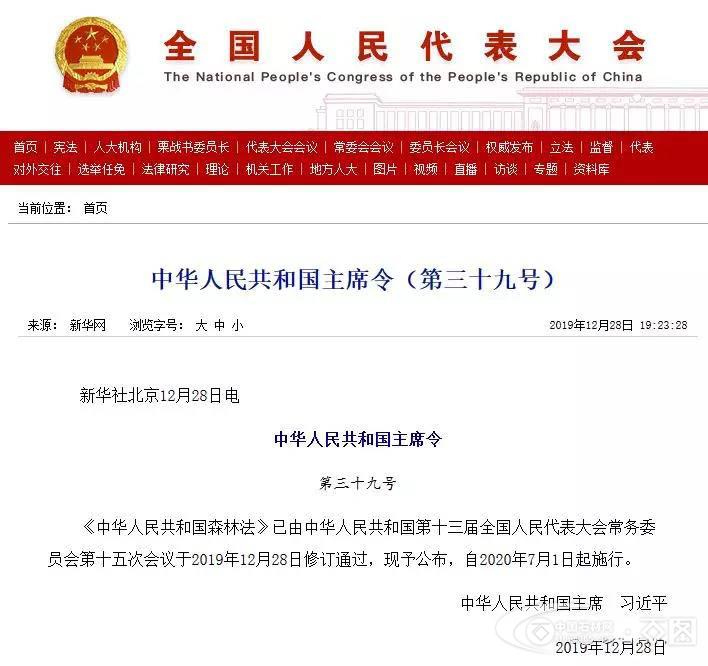 【新政】新森林法发布 石料项目用林政策或迎变
