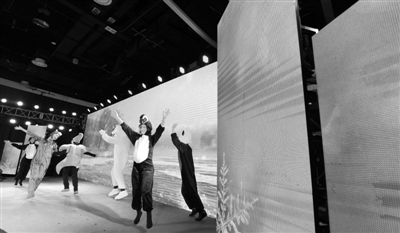 关爱动物 保护生态