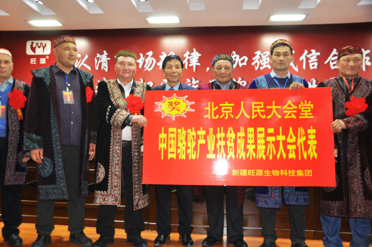 新疆福海县养驼牧民：迎来百万新年礼物