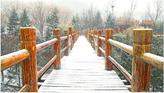 山东省迎今年首次大范围雨雪天气