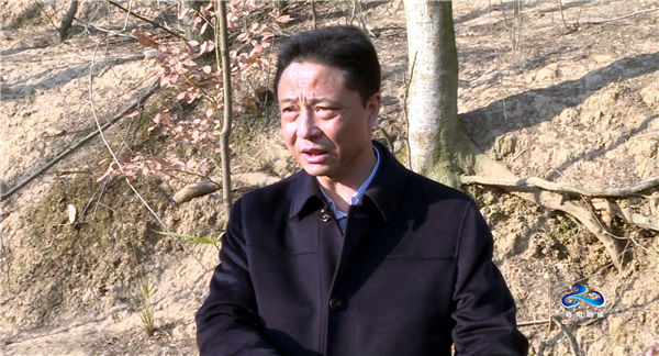 略阳县委副书记 县长范卫民调研略阳乌鸡产业推