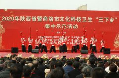 2020年陕西文化科技卫生“三下乡”活动在山阳启