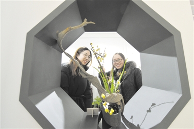 凌寒留香 迎霜傲雪