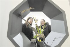 凌寒留香 迎霜傲雪