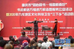 2020年九龙坡区文化科技卫生“三下乡”活动正式