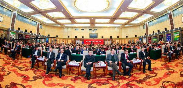 广州中师教育研究院在京举行成立仪式暨新闻发布会