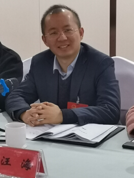 省人大代表汪海:聚焦专注领域 呼唤政策"搭梯"