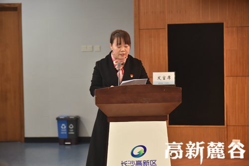 长沙高新区：强行业党建之魂 助力企业谋发展之势