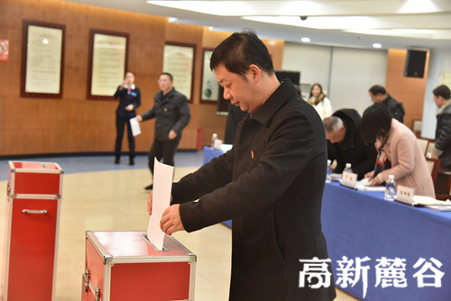 长沙高新区：强行业党建之魂 助力企业谋发展之势