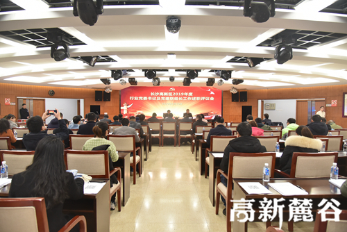 长沙高新区：强行业党建之魂 助力企业谋发展之势