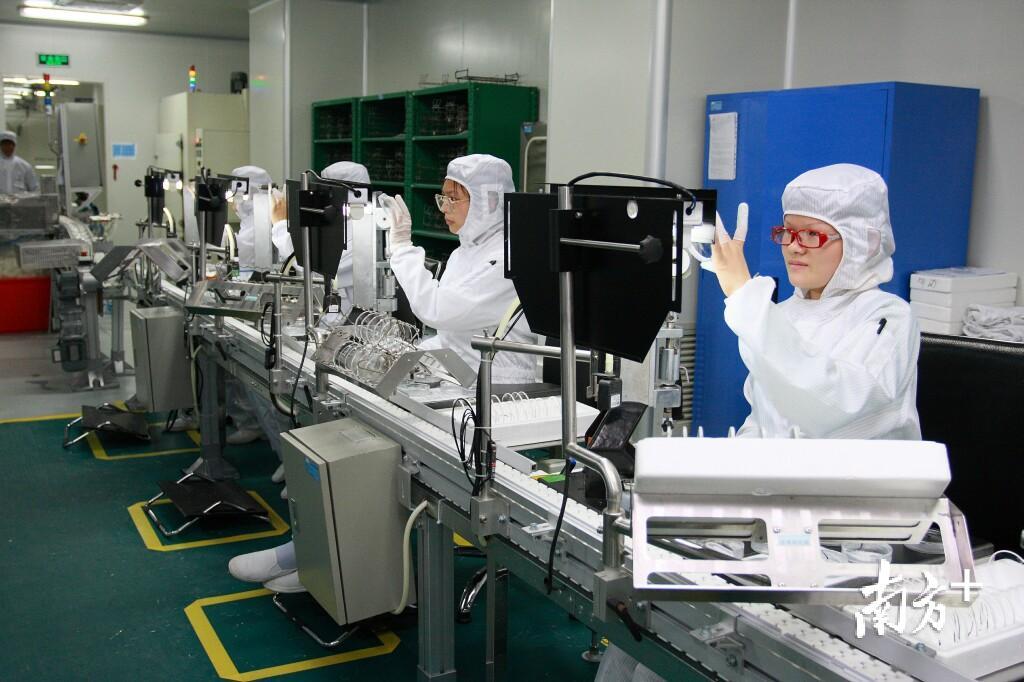 处处见活力：广州城市脉动下的人才涌动