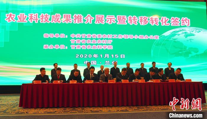 图为农业科研成果转移转化签约仪式。 高展 摄 图为农业科研成果转移转化签约仪式。 高展 摄