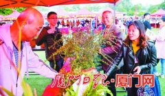 2020年厦门市文化科技卫生“三下乡”集中服务活动启动仪式昨举行（3）
