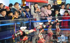 河南宝丰：寒假喜逛“科技大集”